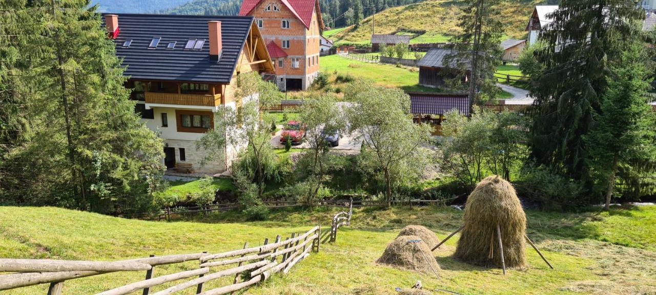 Hotel Arnica Montana Arieşeni Exterior foto