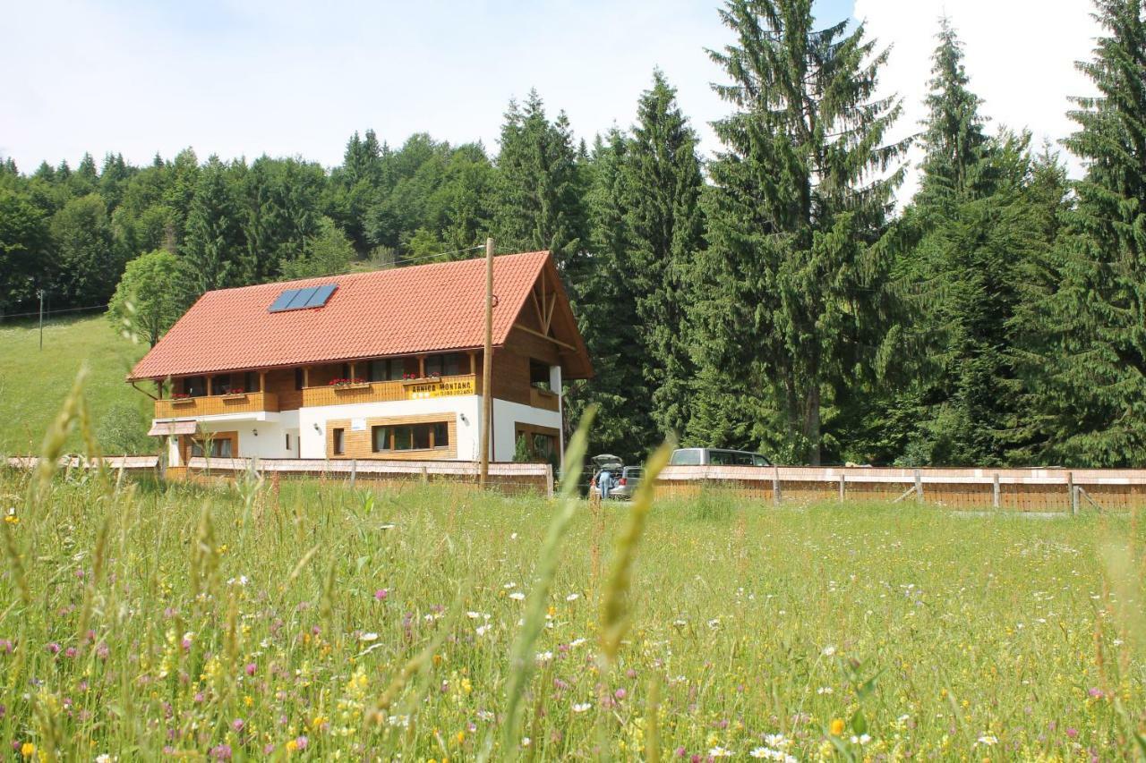 Hotel Arnica Montana Arieşeni Exterior foto