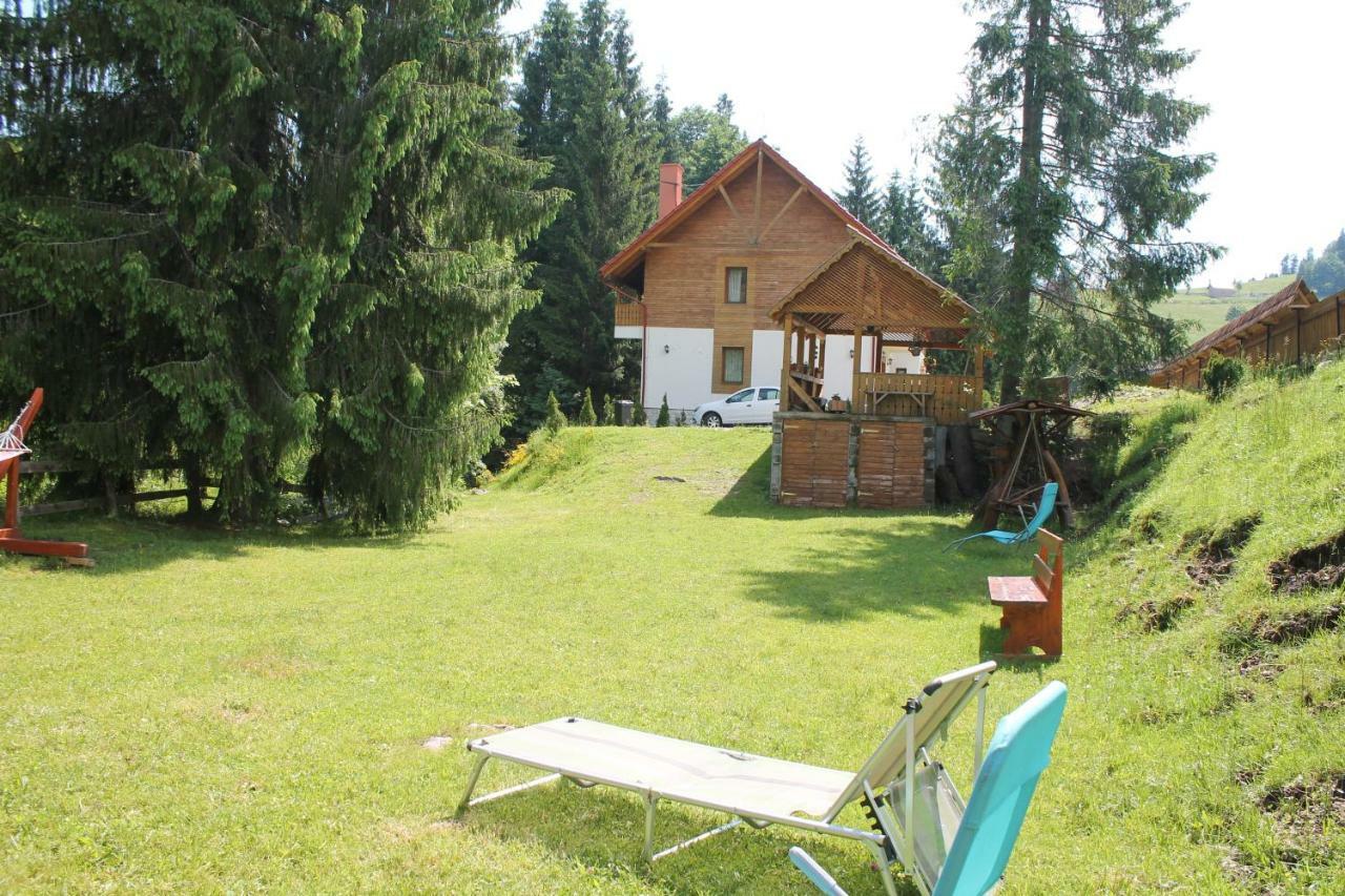 Hotel Arnica Montana Arieşeni Exterior foto