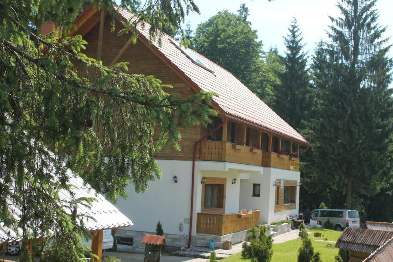 Hotel Arnica Montana Arieşeni Exterior foto