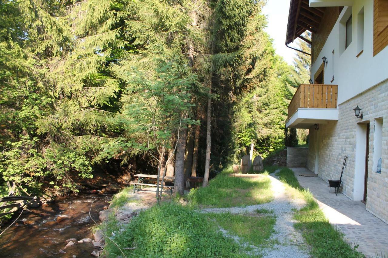 Hotel Arnica Montana Arieşeni Exterior foto