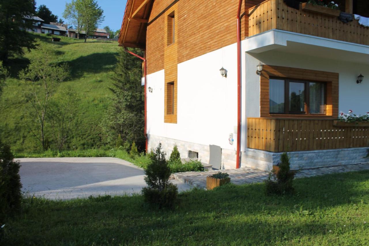 Hotel Arnica Montana Arieşeni Exterior foto