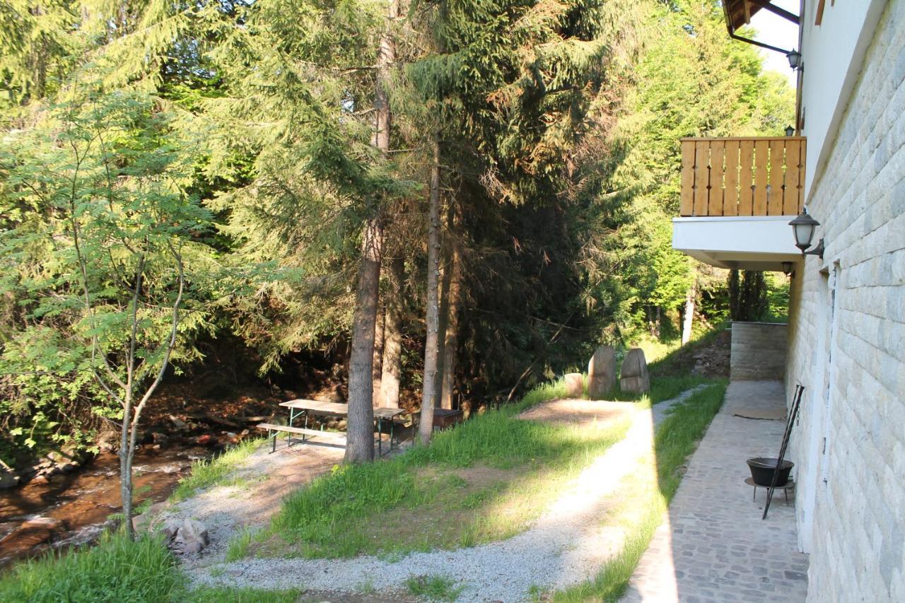 Hotel Arnica Montana Arieşeni Exterior foto